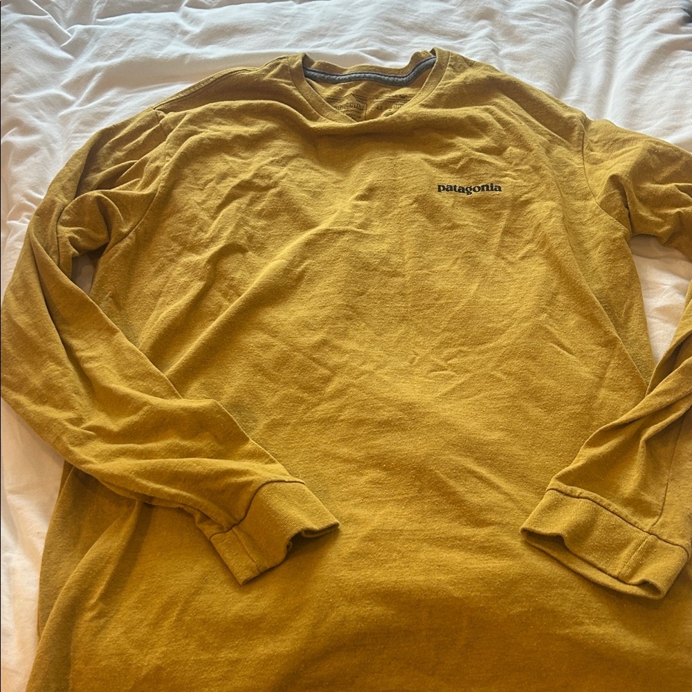 Patagonia Men's Golden Long Sleeve Tee